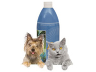 Body Balance Pets