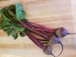 A picture of 3 beets with greens included
