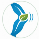 Home page Bone and Joint icon, meaning users might be interested in the products that will be on the page when they click this icon