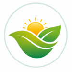 Home page Energy icon, meaning users might be interested in the products that will be on the page when they click this icon