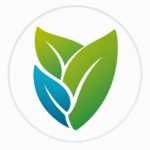 Home page Immunity icon, meaning users might be interested in the products that will be on the page when they click this icon